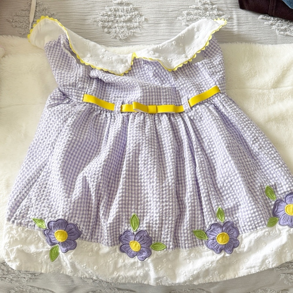 Blueberi Boulevard Purple and Yellow Gingham seersucker flower spring Dress 2T